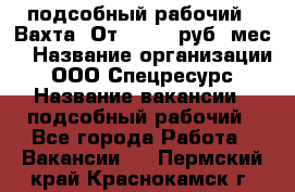 подсобный рабочий . Вахта. От 30 000 руб./мес. › Название организации ­ ООО Спецресурс › Название вакансии ­ подсобный рабочий - Все города Работа » Вакансии   . Пермский край,Краснокамск г.